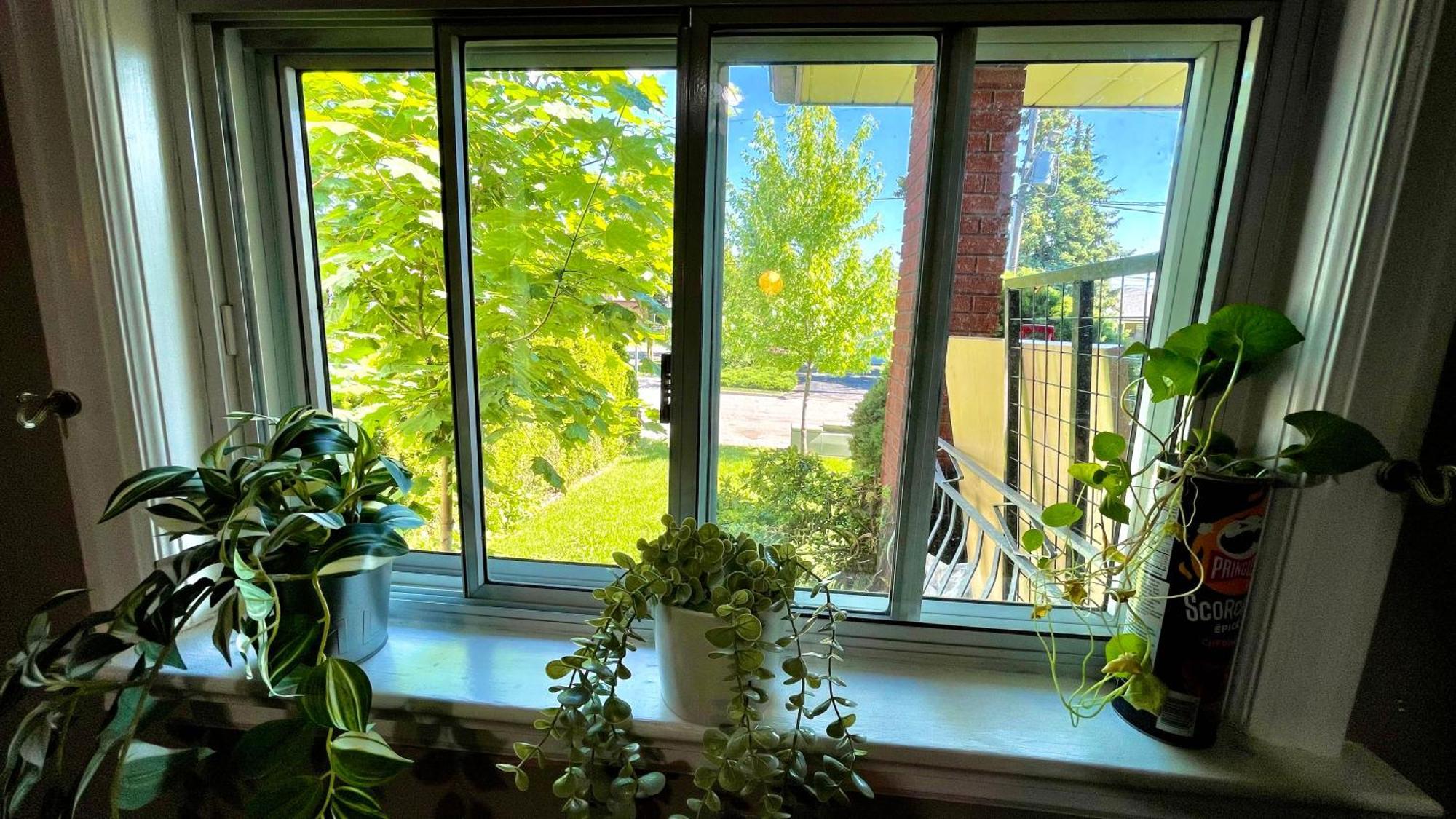 Glengrove Cozy Home 多伦多 外观 照片